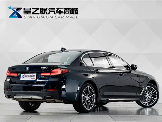 BMW 5 Series — Фото автомобиля 6
