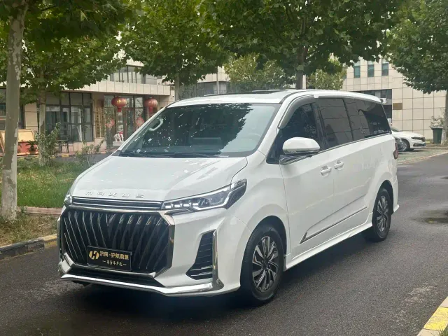 Фотография автомобиля — Maxus G20