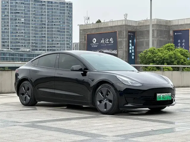 Tesla Model 3 2022 Model Rear-Wheel Drive Version — Фото автомобиля 3