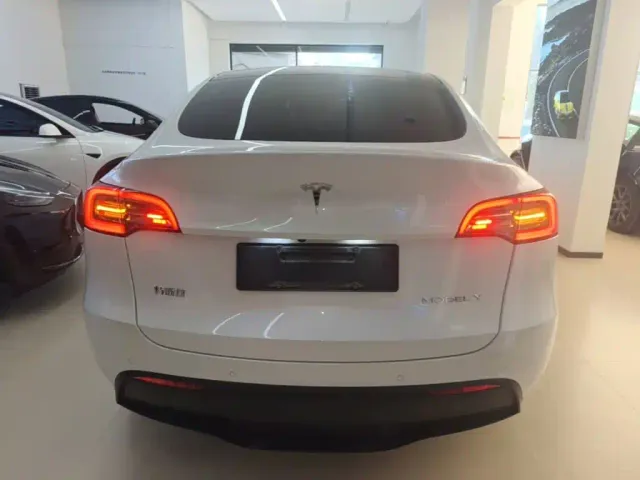 Tesla Model Y — Фото автомобиля 5
