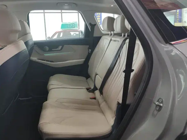 Chery Fulwin T9 — Фото автомобиля 11