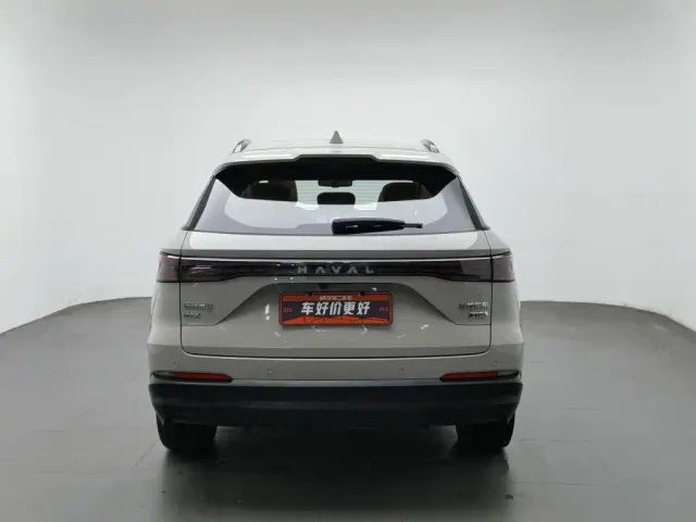 Haval Xiaolong MAX — Фото автомобиля 4