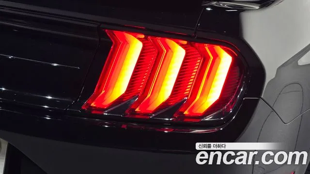 Ford Mustang — Фото автомобиля 22