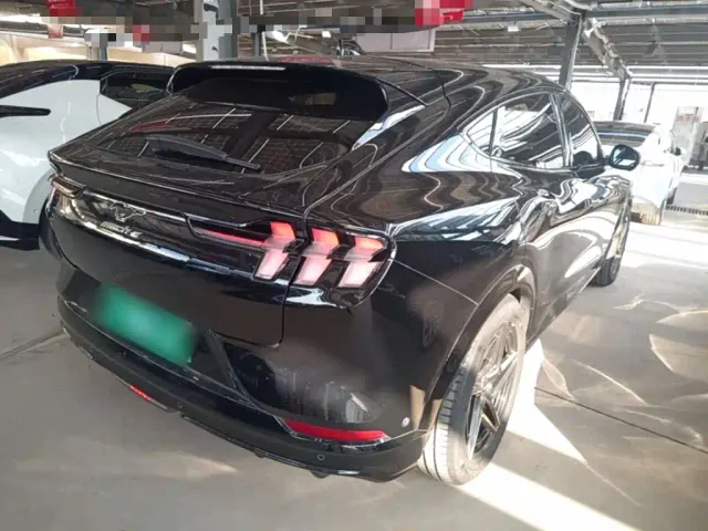 Ford Mustang Mach-E — Фото автомобиля 6