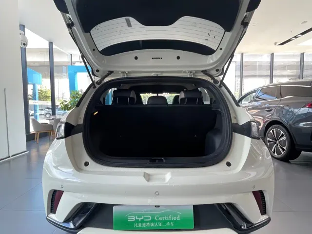 BYD Dolphin — Фото автомобиля 15