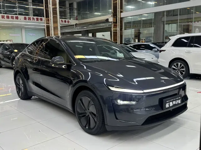 Tesla Model Y — Фото автомобиля 3