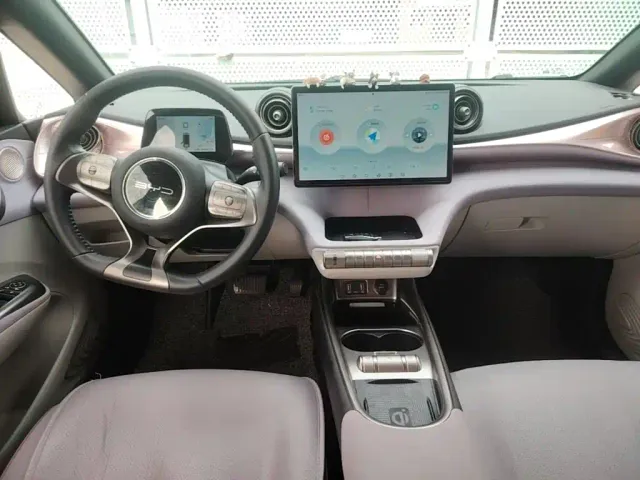BYD Dolphin — Фото автомобиля 9