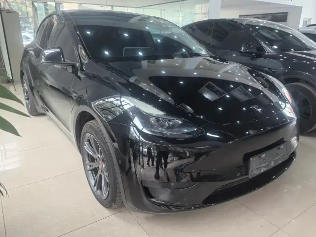 Tesla Model Y — Фото автомобиля 2