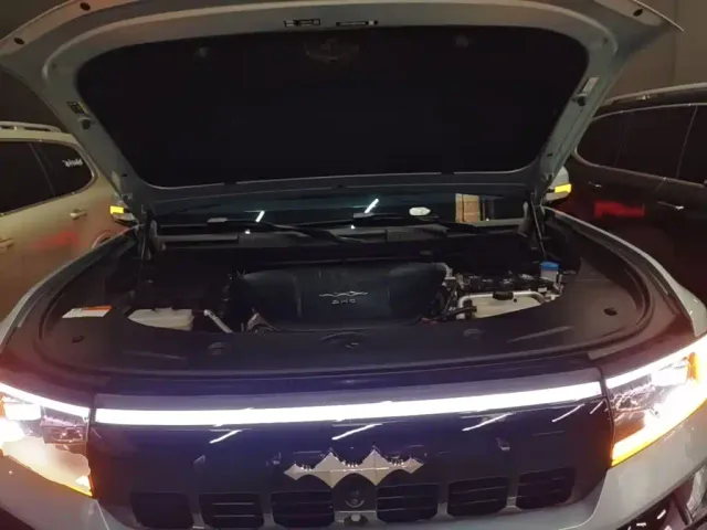 BYD FangChengBao Leopard 8 — Фото автомобиля 19