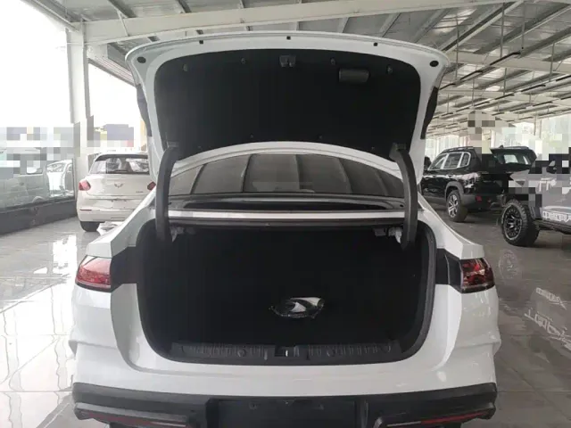 BYD Qin L — Фото автомобиля 18