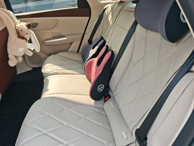 Chery Fulwin A9L — Фото автомобиля 13