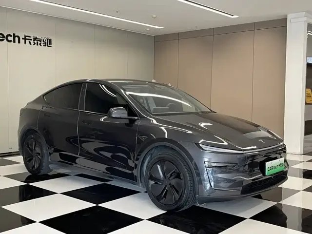 Tesla Model Y — Фото автомобиля 2