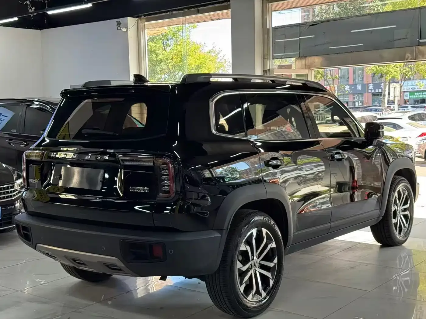 Haval Haval Big Dog 2022 1.5T DCT FWD Border Collie Edition — Фото автомобиля 6