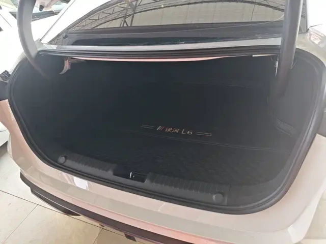 Geely Galaxy L6 — Фото автомобиля 18