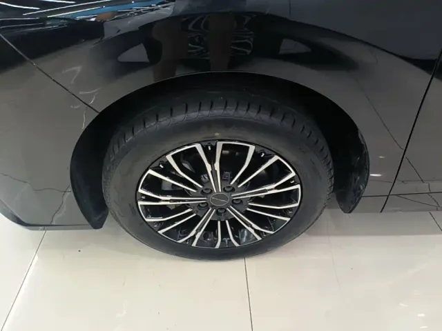 Forthing Xinghai V9 — Фото автомобиля 22
