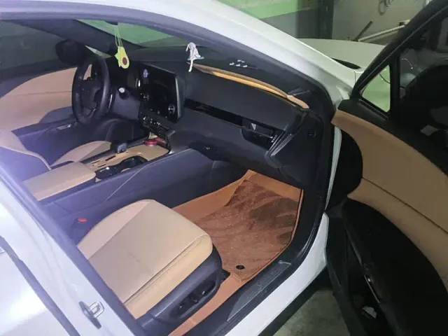 Lexus RX — Фото автомобиля 13