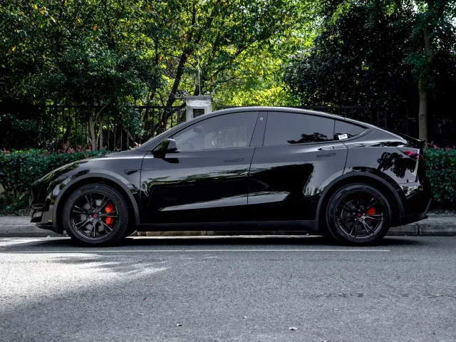 Tesla Model Y — Фото автомобиля 4