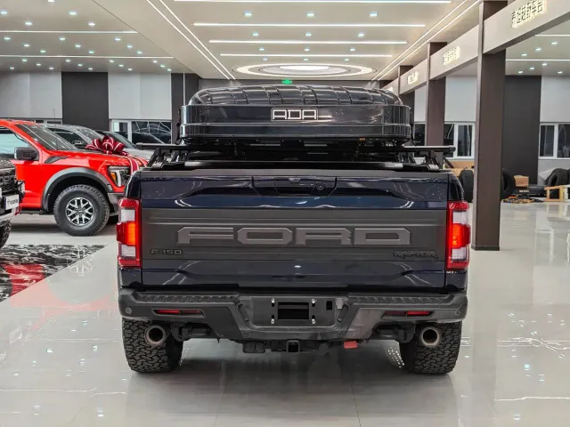 Ford F-150 Raptor — Фото автомобиля 10