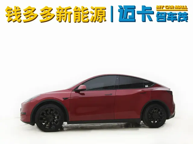 Tesla Model Y — Фото автомобиля 3