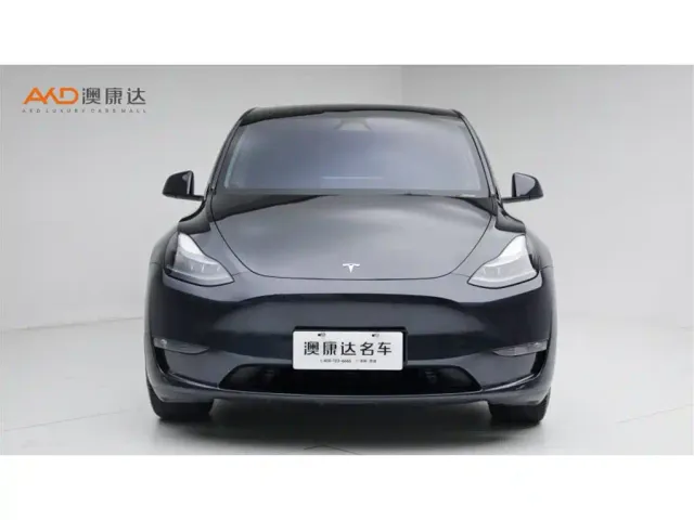 Tesla Model Y — Фото автомобиля 2