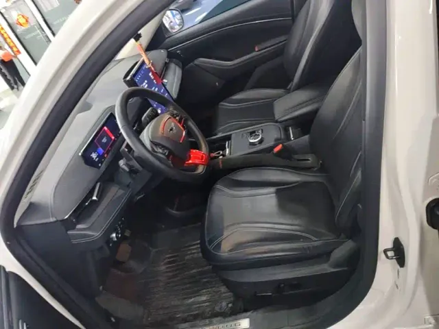 Ford Mustang Mach-E — Фото автомобиля 14