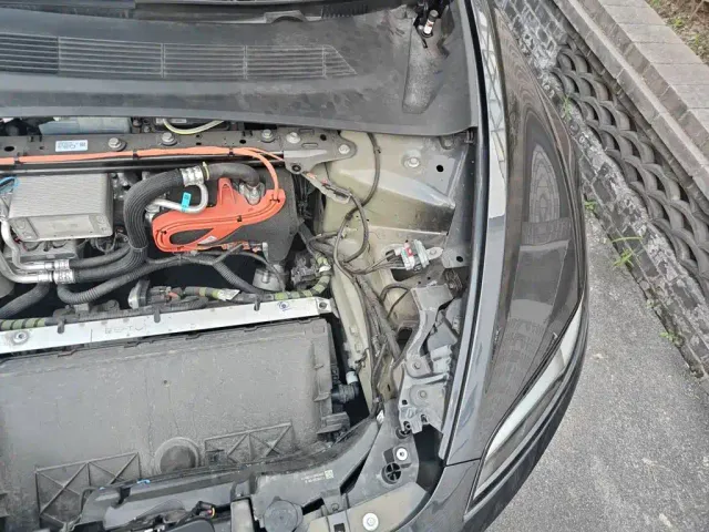 Tesla Model 3 — Фото автомобиля 22