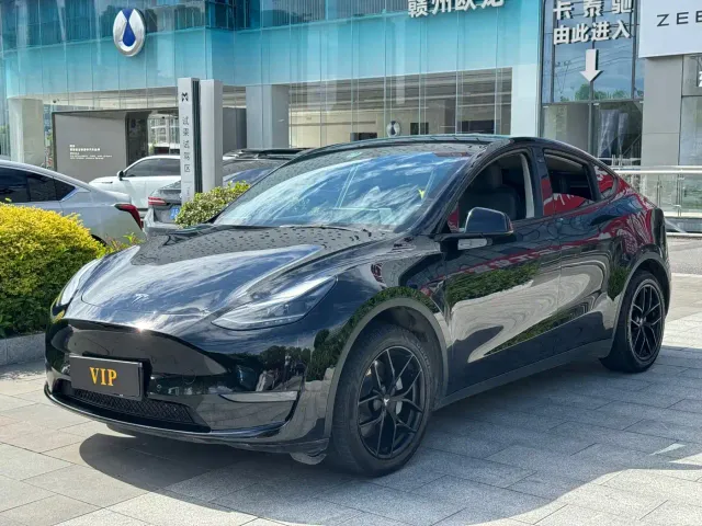 Tesla Model Y — Фото автомобиля 4