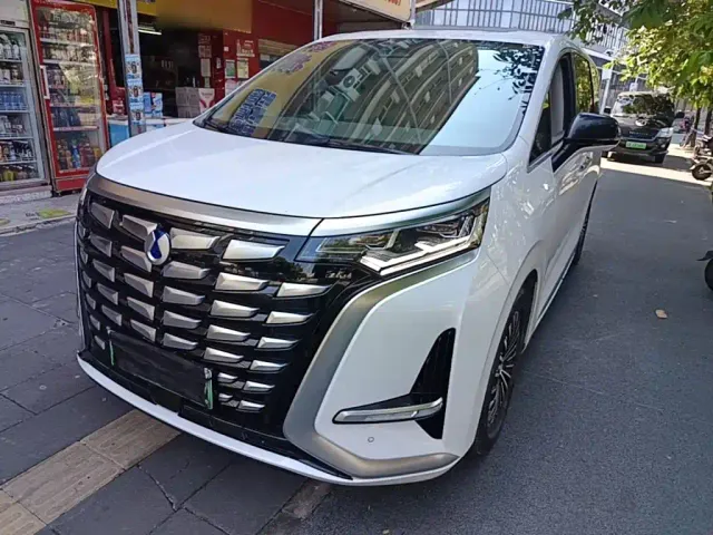 Фотография автомобиля — Denza D9