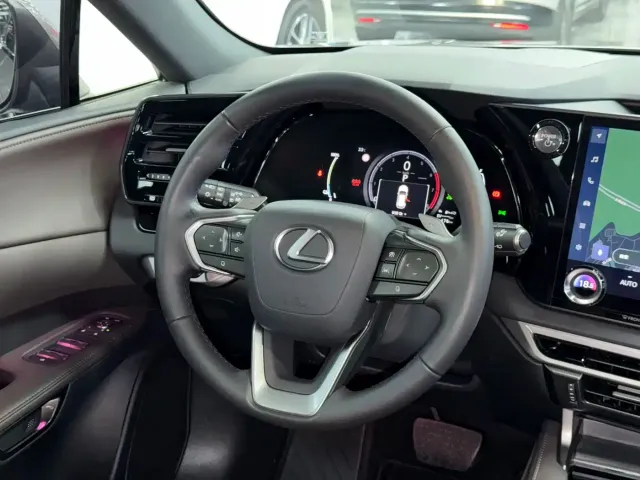 Lexus Lexus RX New Energy 2023 450h+ 4WD Enjoyment — Фото автомобиля 13