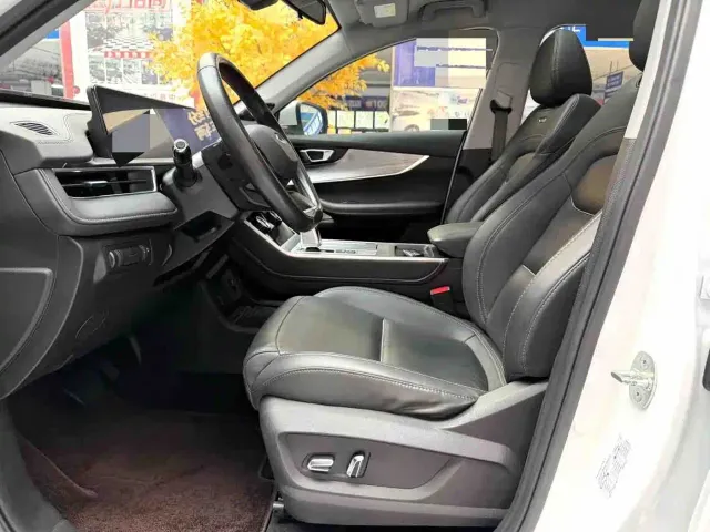 Chery Tiggo 7 PLUS — Фото автомобиля 6
