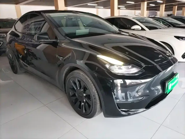 Tesla Model Y — Фото автомобиля 3