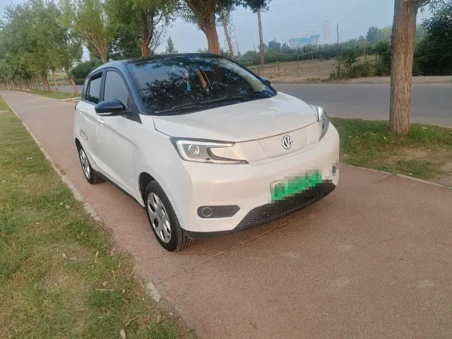 Electric House YOUNG Guang Xiaoxin — Фото автомобиля 2