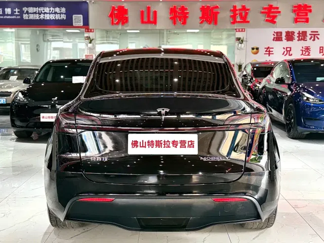 Tesla Model Y — Фото автомобиля 6