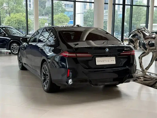 BMW 5 Series — Фото автомобиля 3