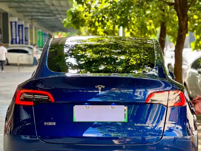 Tesla Model Y — Фото автомобиля 10