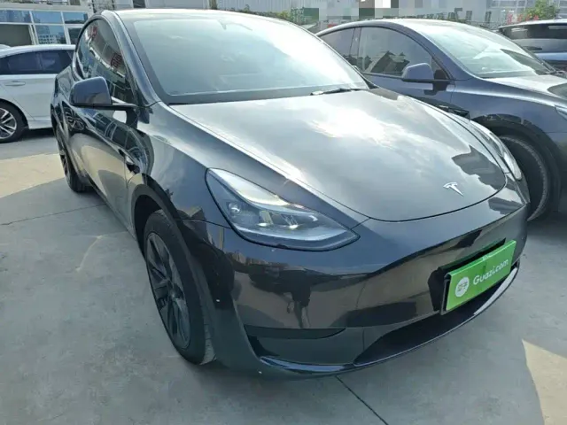 Tesla Model Y — Фото автомобиля 3