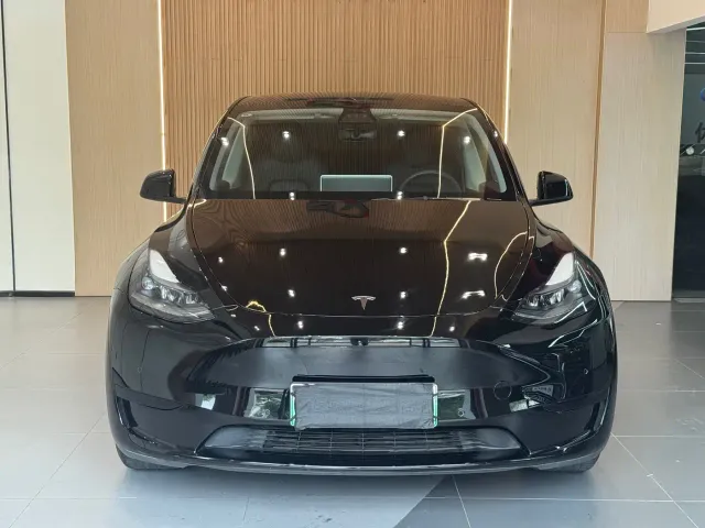 Tesla Model Y — Фото автомобиля 2