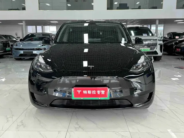 Tesla Model Y — Фото автомобиля 2