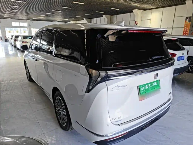 Buick GL8 — Фото автомобиля 4