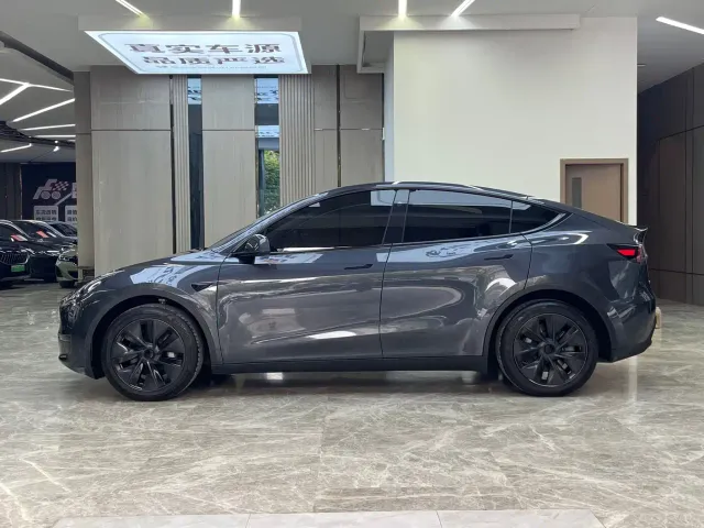 Tesla Model Y — Фото автомобиля 4