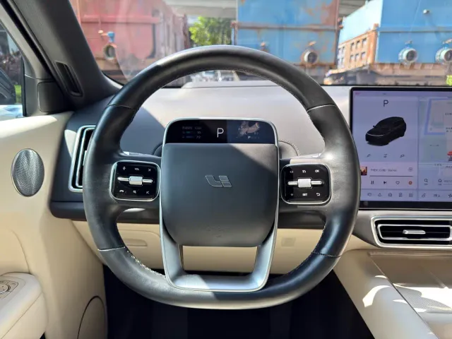 Li Auto L9 — Фото автомобиля 22