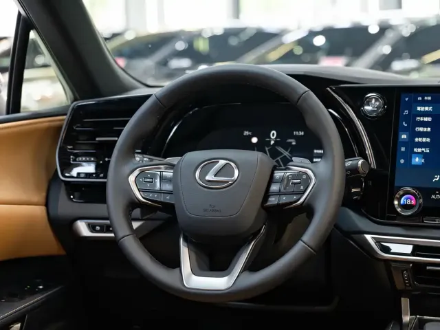 Lexus Lexus RX 2026 300 AWD Premium Edition — Фото автомобиля 14
