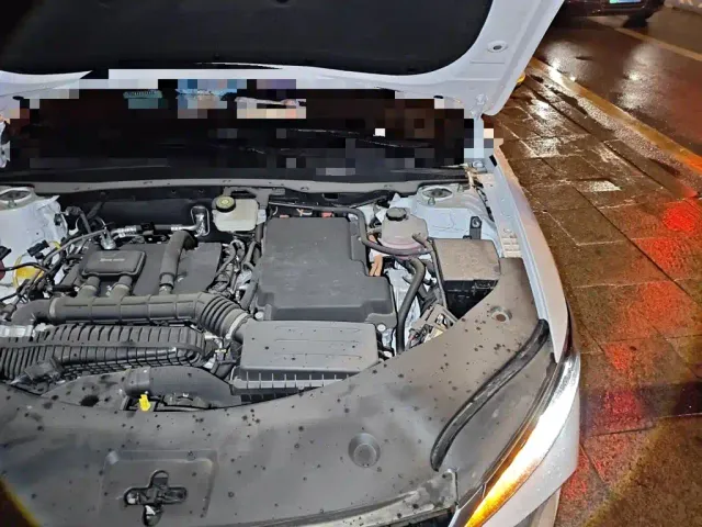 BYD Qin PLUS — Фото автомобиля 21