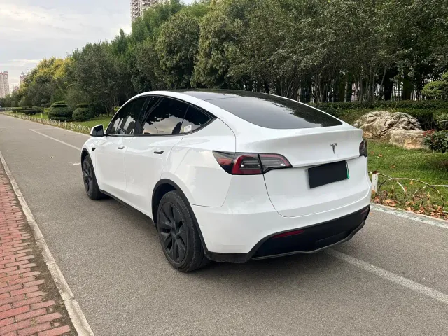 Tesla Model Y — Фото автомобиля 8