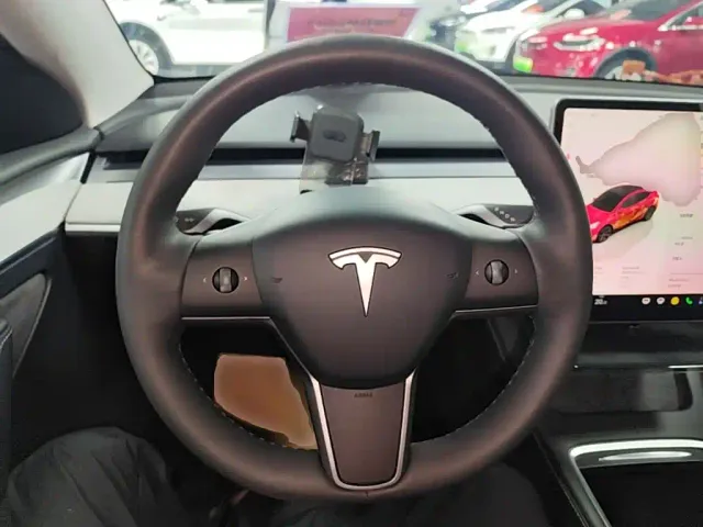 Tesla Model Y — Фото автомобиля 10