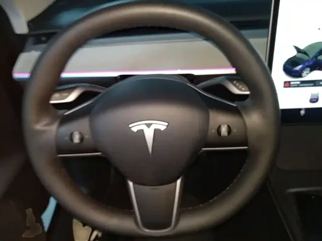 Tesla Model Y — Фото автомобиля 10