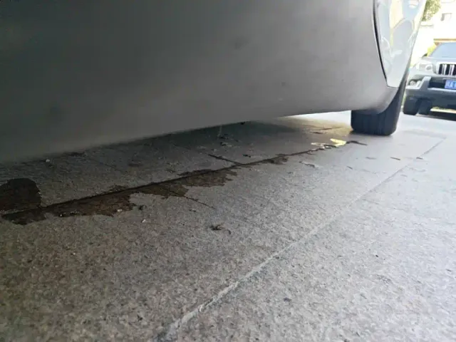 Tesla Model Y — Фото автомобиля 21