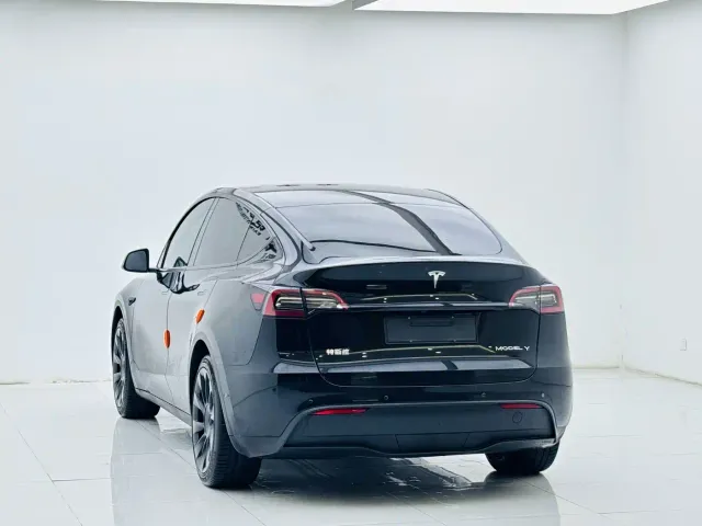 Tesla Model Y — Фото автомобиля 5