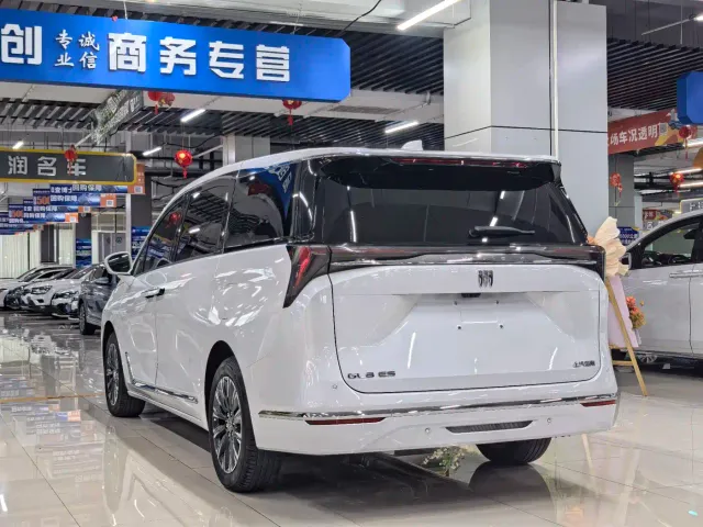 Buick GL8 — Фото автомобиля 6