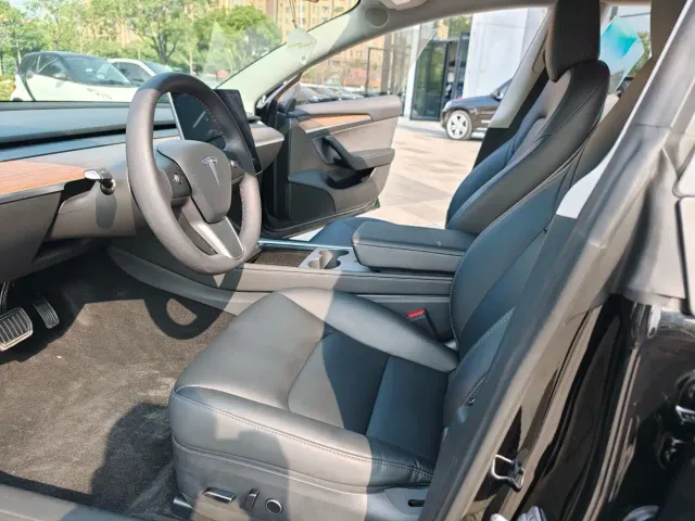Tesla Model 3 — Фото автомобиля 12